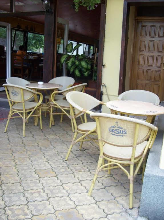 Hotel Casa Verde Prosper ブカレスト エクステリア 写真